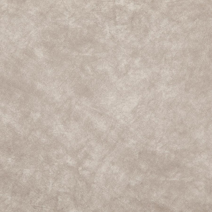 Plato # 16 Natural by Maxwell Fabric Curled Up Vi 100% POLYESTER CHINA 55.5" - Fabric Carolina -
