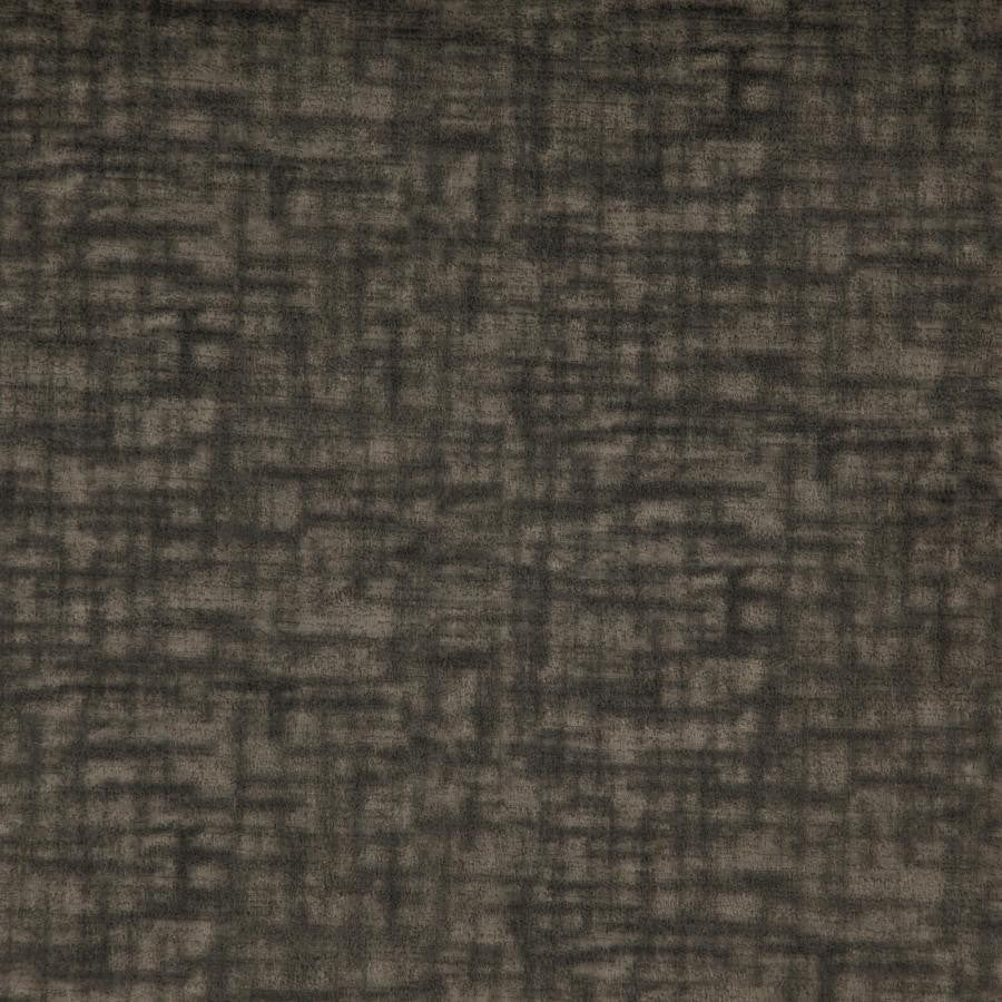 Prometheus # 11 Slate by Maxwell Fabric Curled Up Vi 100% POLYESTER CHINA 54" - Fabric Carolina -