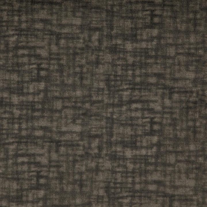 Prometheus # 11 Slate by Maxwell Fabric Curled Up Vi 100% POLYESTER CHINA 54" - Fabric Carolina -