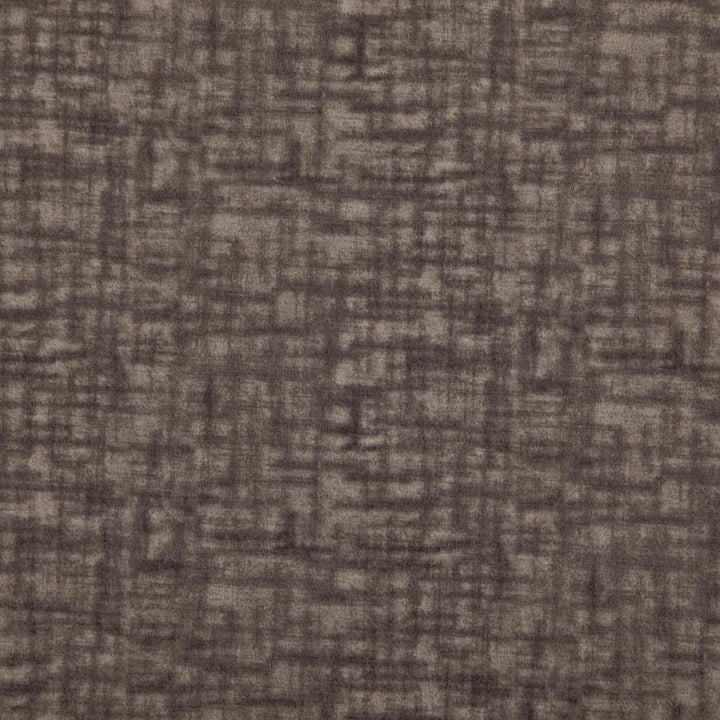 Prometheus # 14 Pewter by Maxwell Fabric Curled Up Vi 100% POLYESTER CHINA 54" - Fabric Carolina -