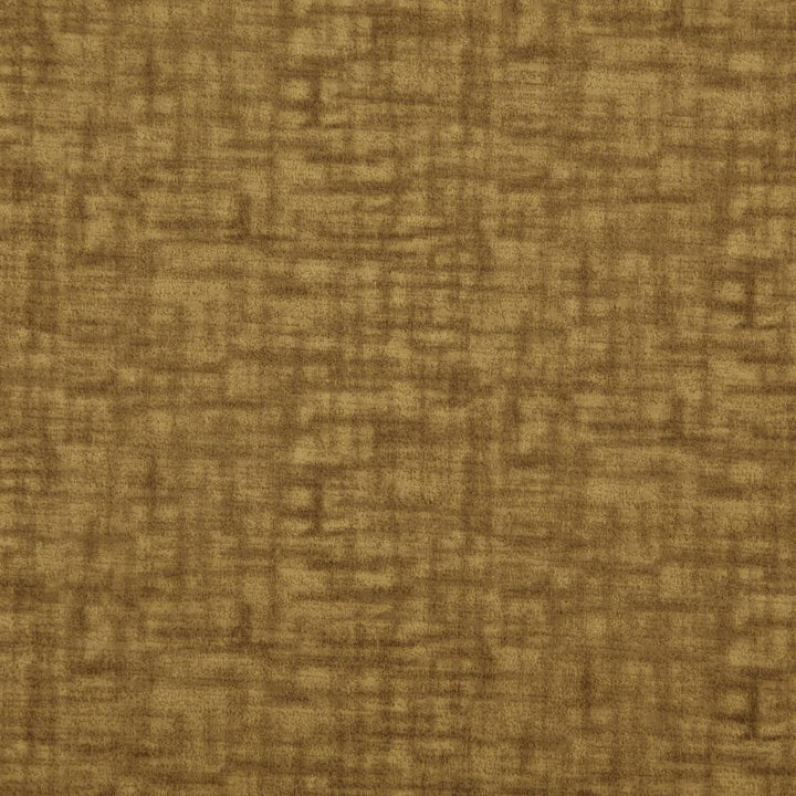 Prometheus # 36 Gold by Maxwell Fabric Curled Up Vi 100% POLYESTER CHINA 54" - Fabric Carolina -