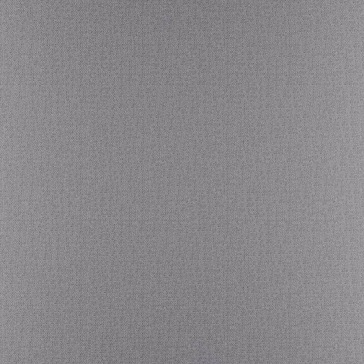 Phobos # 301 Ash by Maxwell Fabric Performance Textures 100% POLYESTER CHINA 55" - Fabric Carolina -