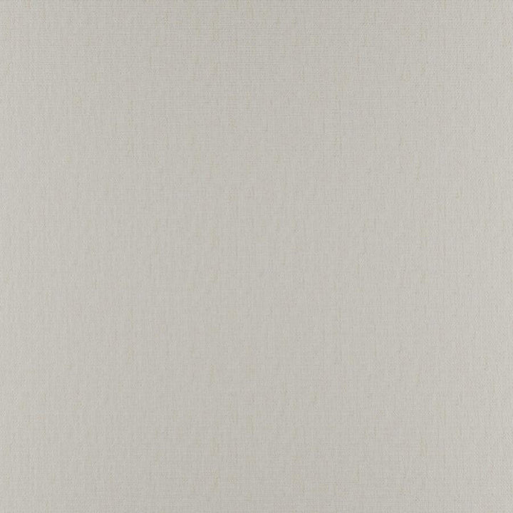 Phobos # 306 Egret by Maxwell Designer Fabric Performance Textures 100% POLYESTER CHINA 55" - Swanky Fabrics -