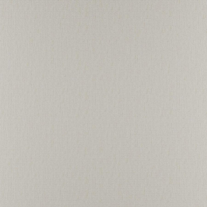 Phobos # 306 Egret by Maxwell Fabric Performance Textures 100% POLYESTER CHINA 55" - Fabric Carolina -