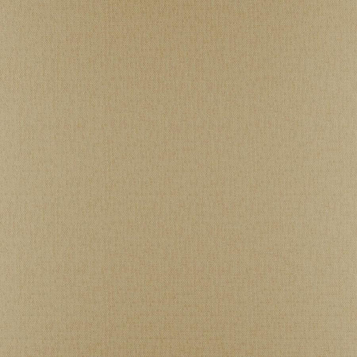 Phobos # 314 Camel by Maxwell Fabric Performance Textures 100% POLYESTER CHINA 55" - Fabric Carolina -