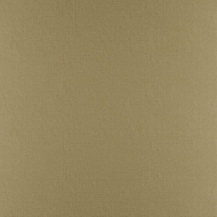 Phobos # 315 Cane by Maxwell Fabric Performance Textures 100% POLYESTER CHINA 55" - Fabric Carolina -