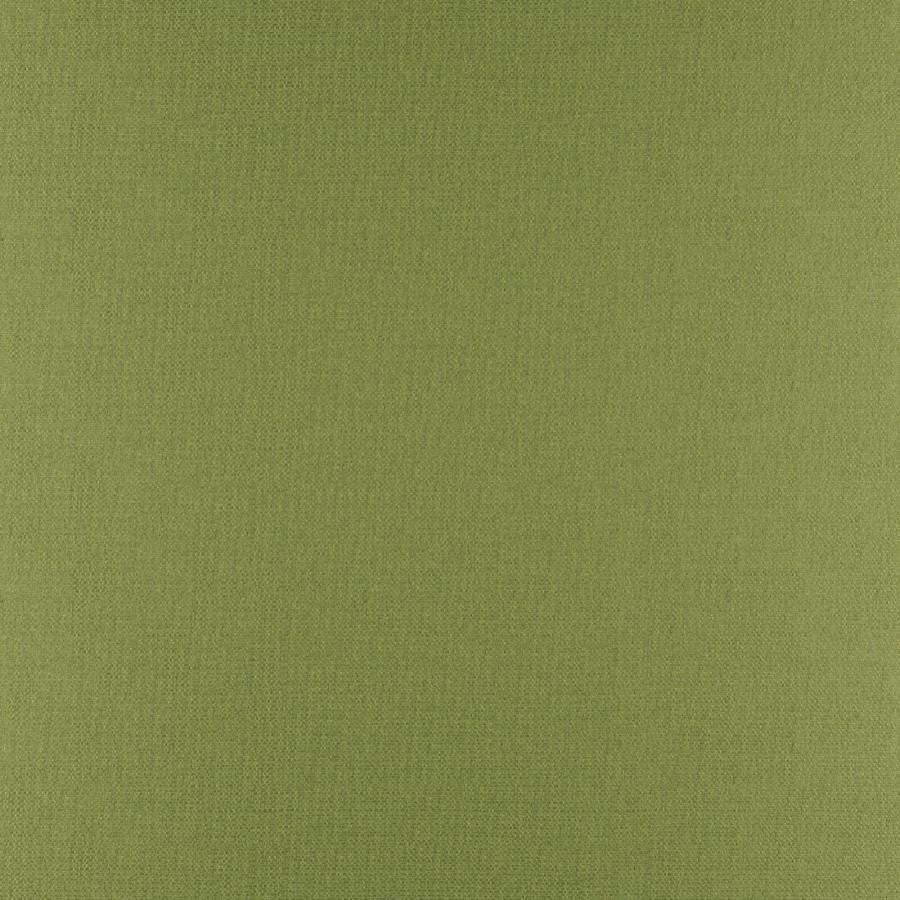 Phobos # 317 Palm by Maxwell Fabric Performance Textures 100% POLYESTER CHINA 55" - Fabric Carolina -