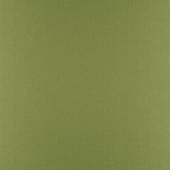 Phobos # 317 Palm by Maxwell Fabric Performance Textures 100% POLYESTER CHINA 55" - Fabric Carolina -