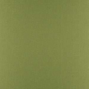 Phobos # 317 Palm by Maxwell Fabric