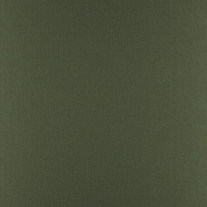 Phobos # 318 Cypress by Maxwell Fabric Performance Textures 100% POLYESTER CHINA 55" - Fabric Carolina -