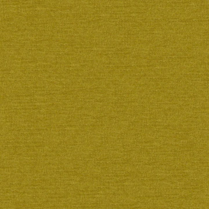 Pintura # 807 Oasis by Maxwell Fabric Curled Up Viii 100% POLYESTER CHINA 55" - Fabric Carolina -
