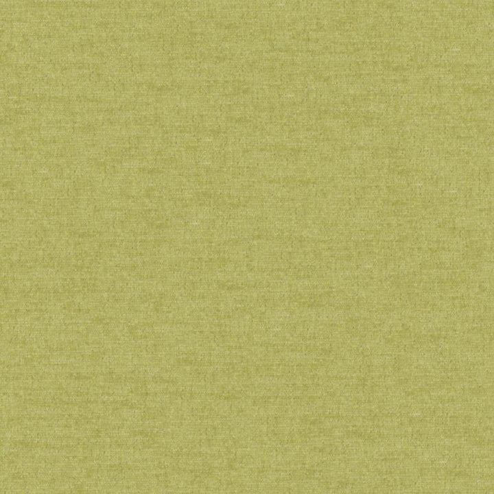 Pintura # 809 Thyme by Maxwell Fabric Curled Up Viii 100% POLYESTER CHINA 55" - Fabric Carolina -
