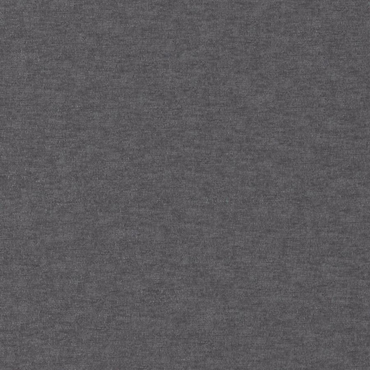 Pintura # 866 Griffin by Maxwell Fabric Curled Up Viii 100% POLYESTER CHINA 55" - Fabric Carolina -