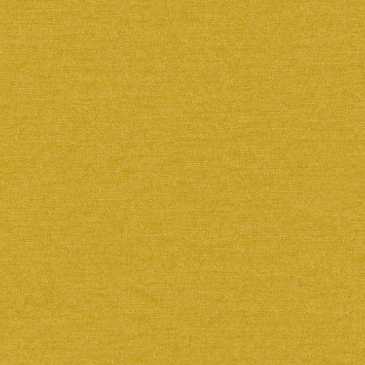 Pintura # 902 Gold by Maxwell Fabric Curled Up Viii 100% POLYESTER CHINA 55" - Fabric Carolina -
