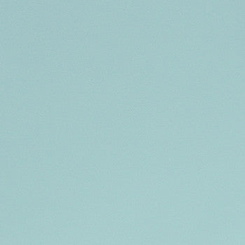 Parker Powder EPA-026 by Nassimi Fabric See sample 100% Polyurethane USA or Imported Water-based cleaning agents and foam may be used for cleaning. Cleaning by a professional cleaning service is recommended. 54 - Fabric Carolina -