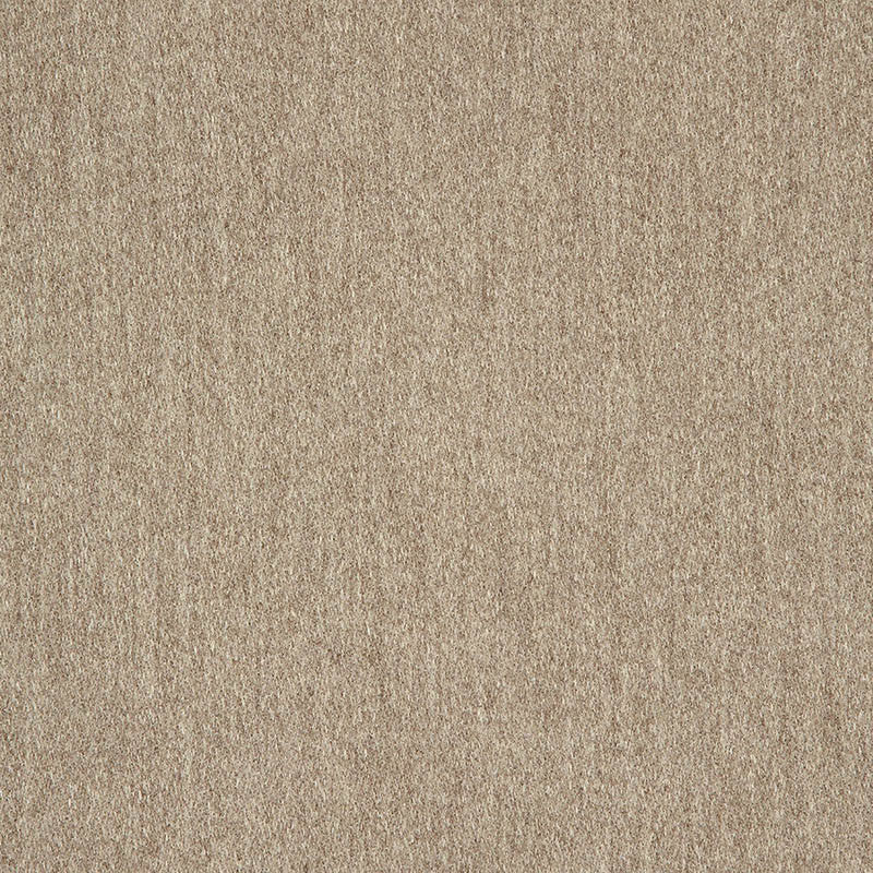 40501-0012 Pashmina Alpaca 40501 0012 by Sunbrella Designer Fabric Cushion Furniture Drapery Fabrics > Sunbrella Fusion Collection 100% acrylic USA or Imported Horizontalorizontal 0.20" Verticalertical 13.60" 54" - Swanky Fabrics -