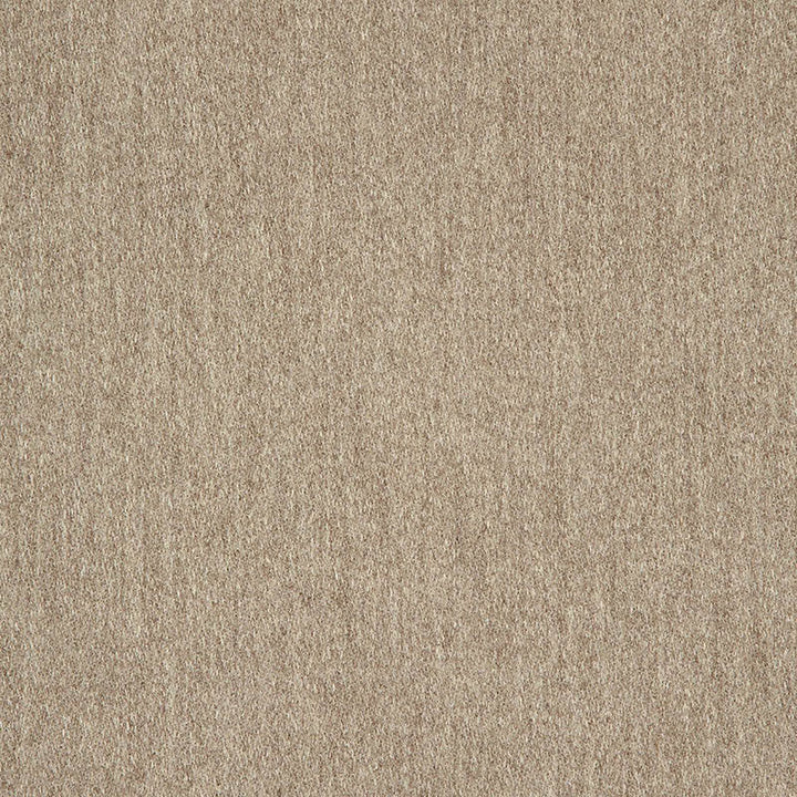 40501-0012 Pashmina Alpaca 40501 0012 by Sunbrella Designer Fabric Cushion Furniture Drapery Fabrics > Sunbrella Fusion Collection 100% acrylic USA or Imported Horizontalorizontal 0.20" Verticalertical 13.60" 54" - Swanky Fabrics -