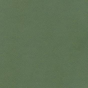 Patriot Plus Cypress by Spradling Fabric See sample 100% Vinyl 200000 Horizontal: Not Applicable and Vertical: Not Applicable 54" - Fabric Carolina -