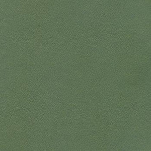 Patriot Plus Cypress by Spradling Fabric