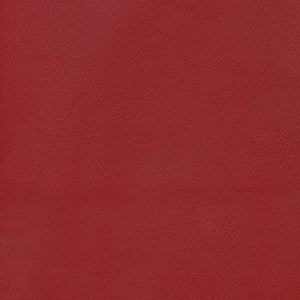 Patriot Plus Ruby by Spradling Fabric