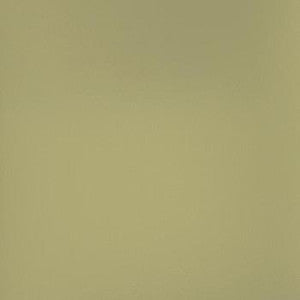 Patriot Plus Sage 0692 by Spradling Fabric