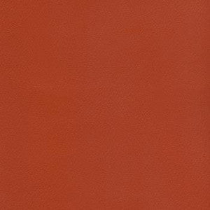 Patriot Plus Terra Cotta by Spradling Fabric