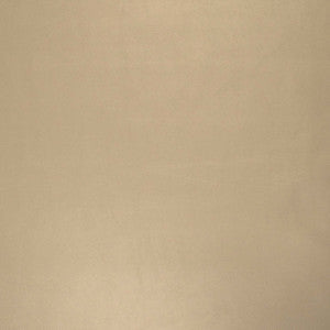Vinyl Library Pegasus Oyster by Europatex Fabric