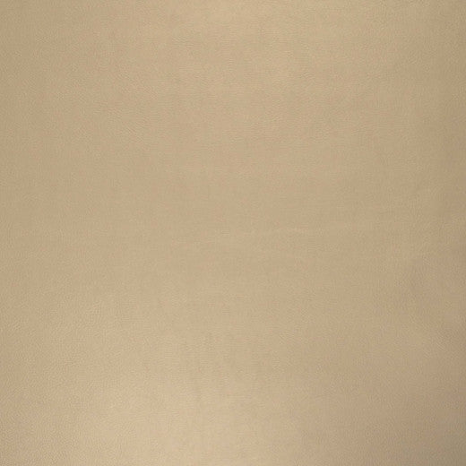 Pegasus - Oyster by Europatex Fabric Vinyl Library 55% PVC, 40% Polyester, 5% Polyurethane China See Sample Horizontal: N/A and Vertical: N/A 54.00 inches  - Fabric Carolina -
