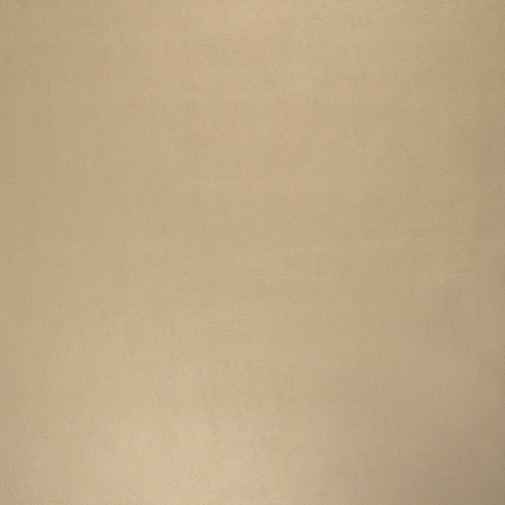 Vinyl Library Pegasus Oyster by Europatex Fabric Vinyl Library 40% Polyester, 55% pvc, 5% PU 55.00 inches - Fabric Carolina -