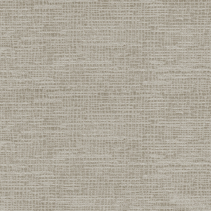 Penumbra Feather by Europatex Fabric Sombre, Penumbra 100% Polyester 0.00 55.00 inches - Fabric Carolina -