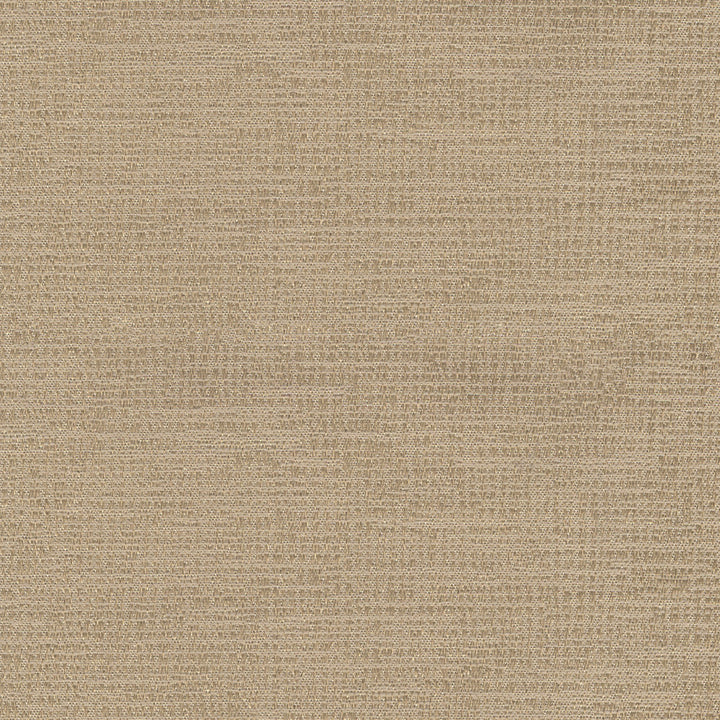 Penumbra Flax by Europatex Designer Fabric Sombre, Penumbra 100% Polyester 0.00 55.00 inches - Swanky Fabrics -