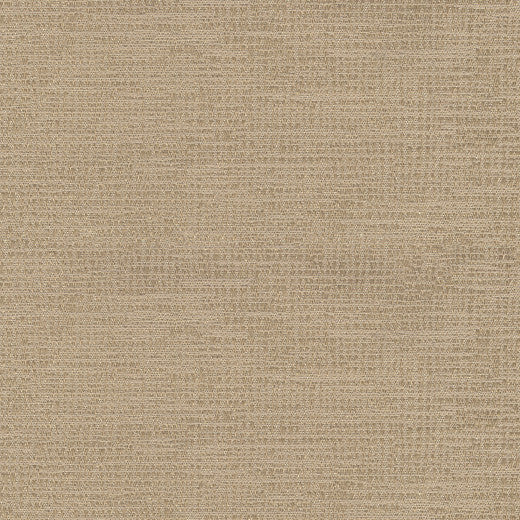 Penumbra - Flax by Europatex Designer Fabric Penumbra/Sombre 100% Polyester China See Sample Horizontal: N/A and Vertical: N/A 54.00 inches  - Swanky Fabrics -