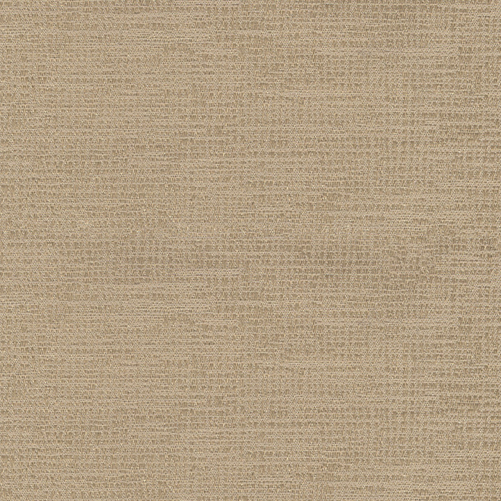 Penumbra Flax by Europatex Fabric Sombre, Penumbra 100% Polyester 0.00 55.00 inches - Fabric Carolina -