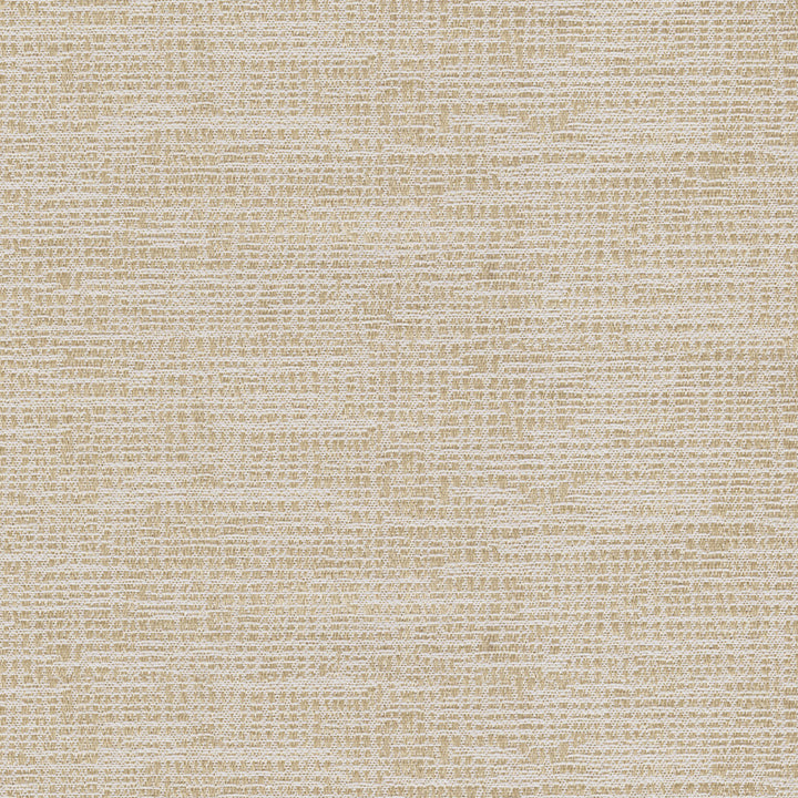 Penumbra Parchment by Europatex Fabric Sombre, Penumbra 100% Polyester 0.00 55.00 inches - Fabric Carolina -