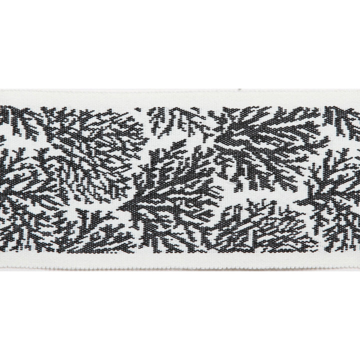 Pergola Coral Tape Black by Europatex Fabric Pergola 100% Solution Dyed Acrylic 3.25 inches - Fabric Carolina -