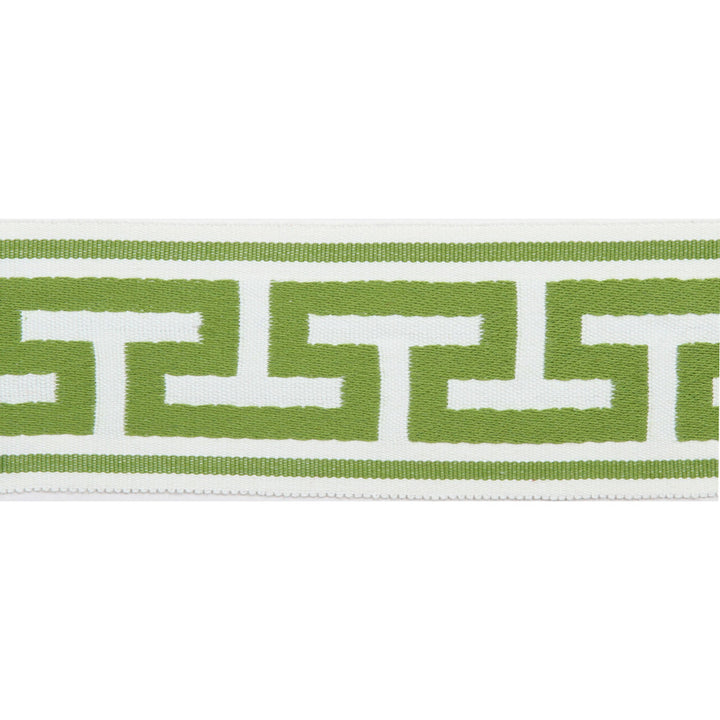 Pergola Embroidered Tape Lime by Europatex Fabric Pergola 100% Solution Dyed Acrylic 2.75 inches - Fabric Carolina -