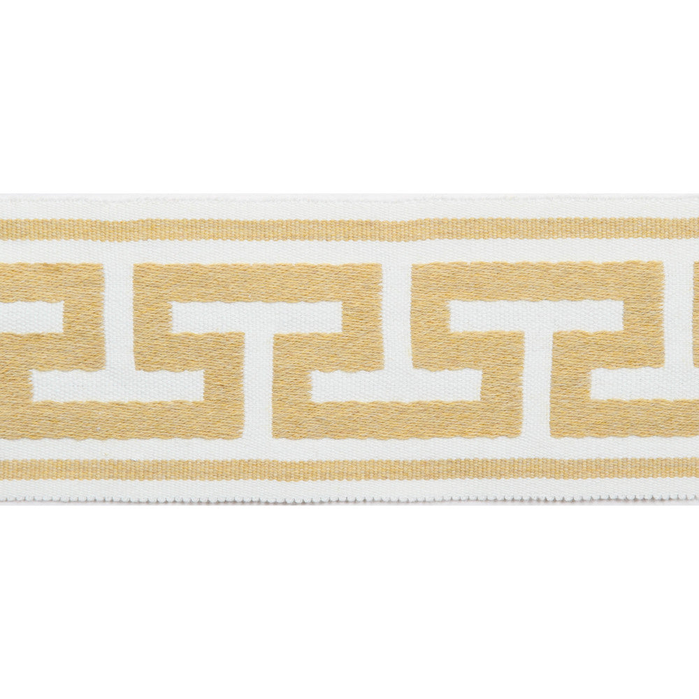 Pergola Embroidered Tape Sunlight by Europatex Designer Fabric Pergola 100% Solution Dyed Acrylic 2.75 inches - Swanky Fabrics -