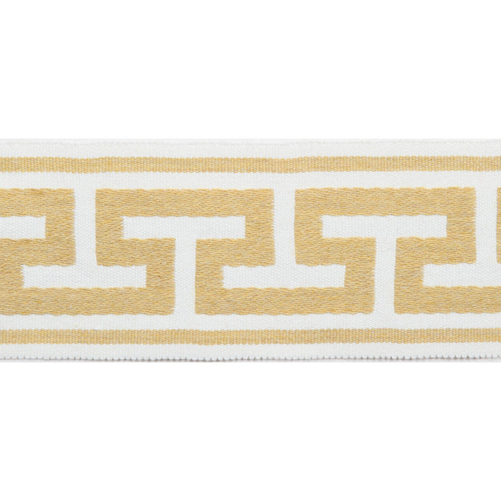 Pergola Embroidered Tape Sunlight by Europatex Designer Fabric Pergola 100% Solution Dyed Acrylic 2.75 inches - Swanky Fabrics -