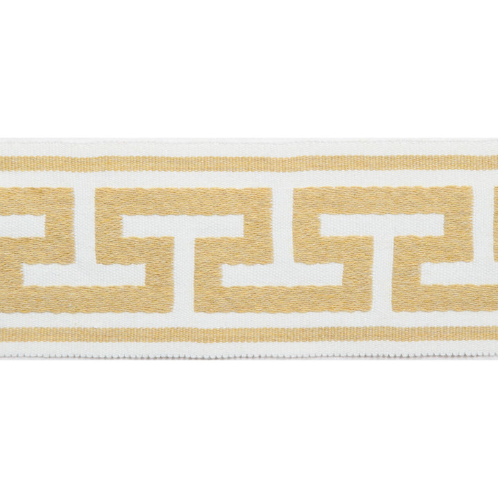 Pergola Embroidered Tape Sunlight by Europatex Fabric Pergola 100% Solution Dyed Acrylic 2.75 inches - Fabric Carolina -