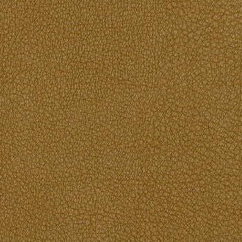 Persuasion Badger by Nassimi Fabric See sample 100% Vinyl 250000 Horizontal: Not Applicable and Vertical: Not Applicable 54" - Fabric Carolina -