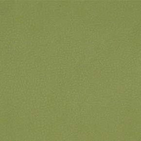 Persuasion Citronella TPE-011 by Nassimi Fabric See sample 100% Vinyl USA or Imported Water-based cleaning agents and foam may be used for cleaning. Cleaning by a professional cleaning service is recommended. </p><p>Repeat: Horizontal: and Vertical: 54" - Fabric Carolina -