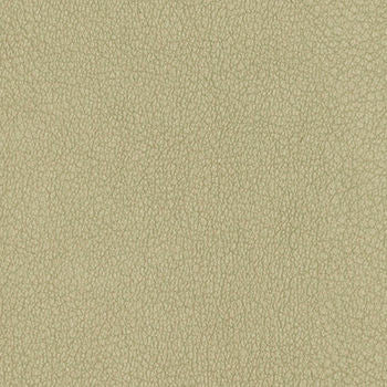 Persuasion Concrete by Nassimi Fabric See sample 100% Vinyl 250000 Horizontal: Not Applicable and Vertical: Not Applicable 54" - Fabric Carolina -
