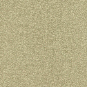 Persuasion Concrete by Nassimi Fabric