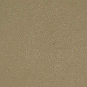 Persuasion Sand TPE-022 by Nassimi Designer Fabric See sample 100% Vinyl USA or Imported Water-based cleaning agents and foam may be used for cleaning. Cleaning by a professional cleaning service is recommended. </p><p>Repeat: Horizontal: and Vertical: 54" - Swanky Fabrics -
