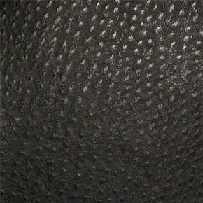Phoenix Caviar TPH-003 by Nassimi Fabric See sample 100% Vinyl USA or Imported Water-based cleaning agents and foam may be used for cleaning. Cleaning by a professional cleaning service is recommended. </p><p>Repeat: Horizontal: and Vertical: 54" - Fabric Carolina -