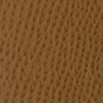 Phoenix Chestnut TPH-102 by Nassimi Fabric See sample 100% Vinyl USA or Imported Water-based cleaning agents and foam may be used for cleaning. Cleaning by a professional cleaning service is recommended. </p><p>Repeat: Horizontal: and Vertical: 54" - Fabric Carolina -