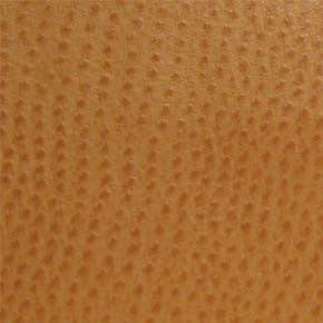 Phoenix Chutney TPH-005 by Nassimi Fabric See sample 100% Vinyl USA or Imported Water-based cleaning agents and foam may be used for cleaning. Cleaning by a professional cleaning service is recommended. </p><p>Repeat: Horizontal: and Vertical: 54" - Fabric Carolina -