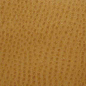 Phoenix Ochre TPH-009 by Nassimi Fabric See sample 100% Vinyl USA or Imported Water-based cleaning agents and foam may be used for cleaning. Cleaning by a professional cleaning service is recommended. </p><p>Repeat: Horizontal: and Vertical: 54" - Fabric Carolina -