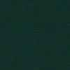 SJA 3998 137 Solids Pinea by Sunbrella Fabric