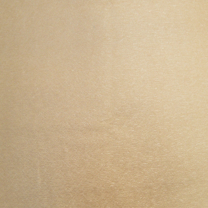 Pioneer 18 by Europatex Fabric Pioneer 40% Polyester, 55% PVC, 5% PU 55.00 inches - Fabric Carolina -